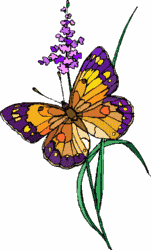 animatedbutterfly.gif